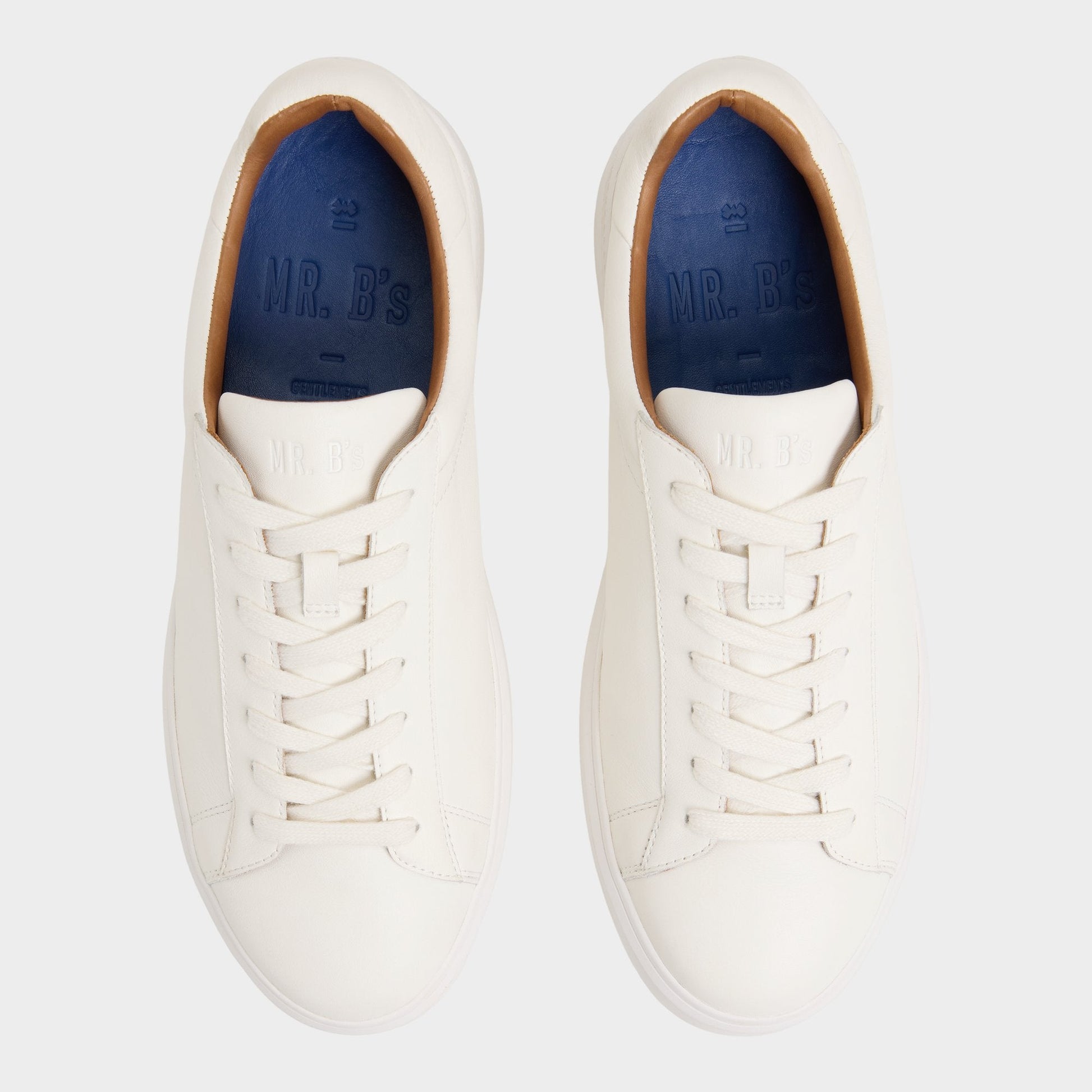 Seeger in White - Low top sneaker, Cup sole - White