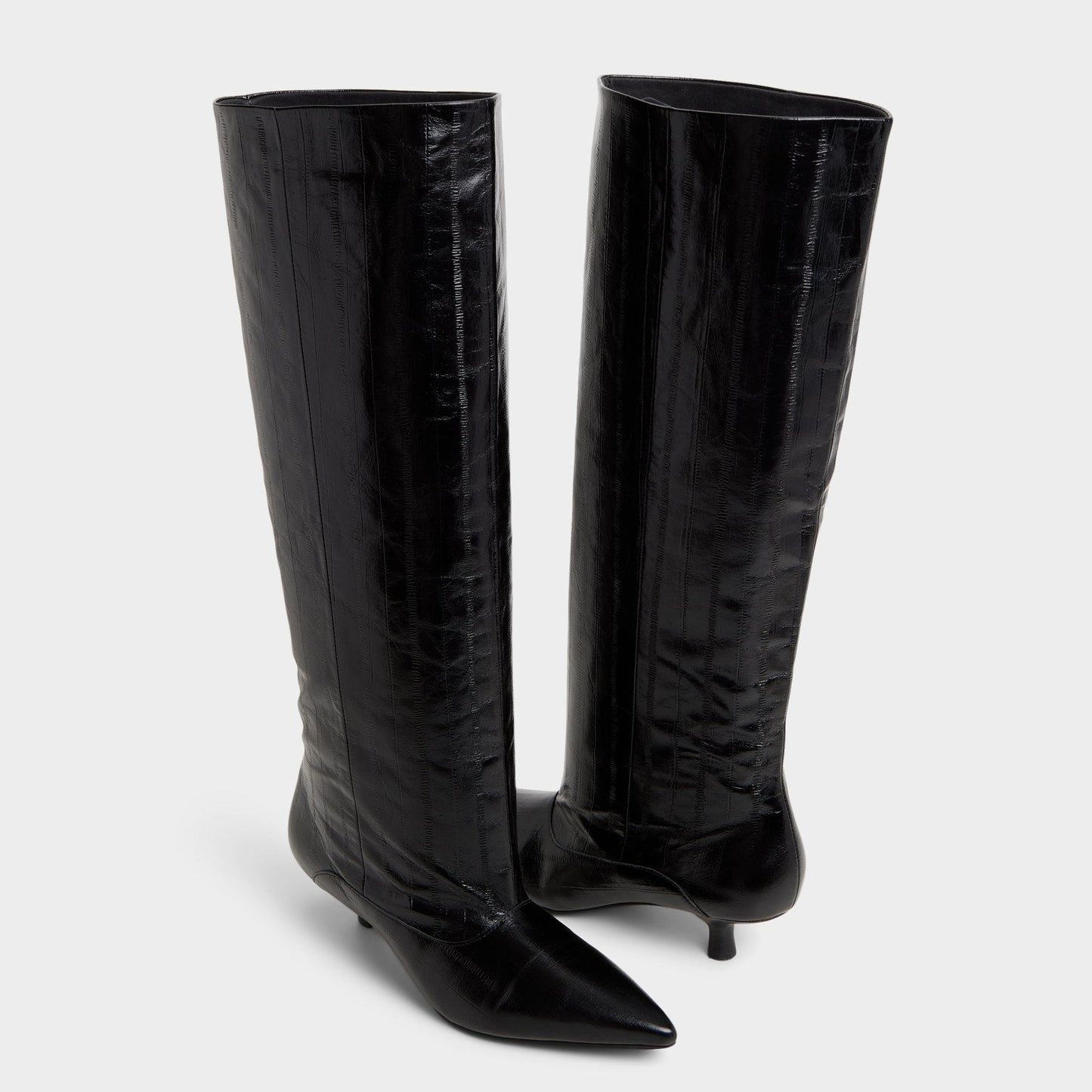 Everose in Black - Knee-high boot, Kitten heel - Black