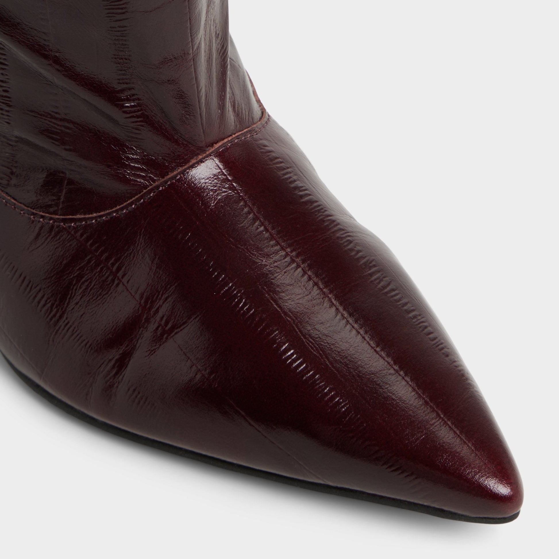 Everose in Bordo - Knee-high boot, Kitten heel - Bordo