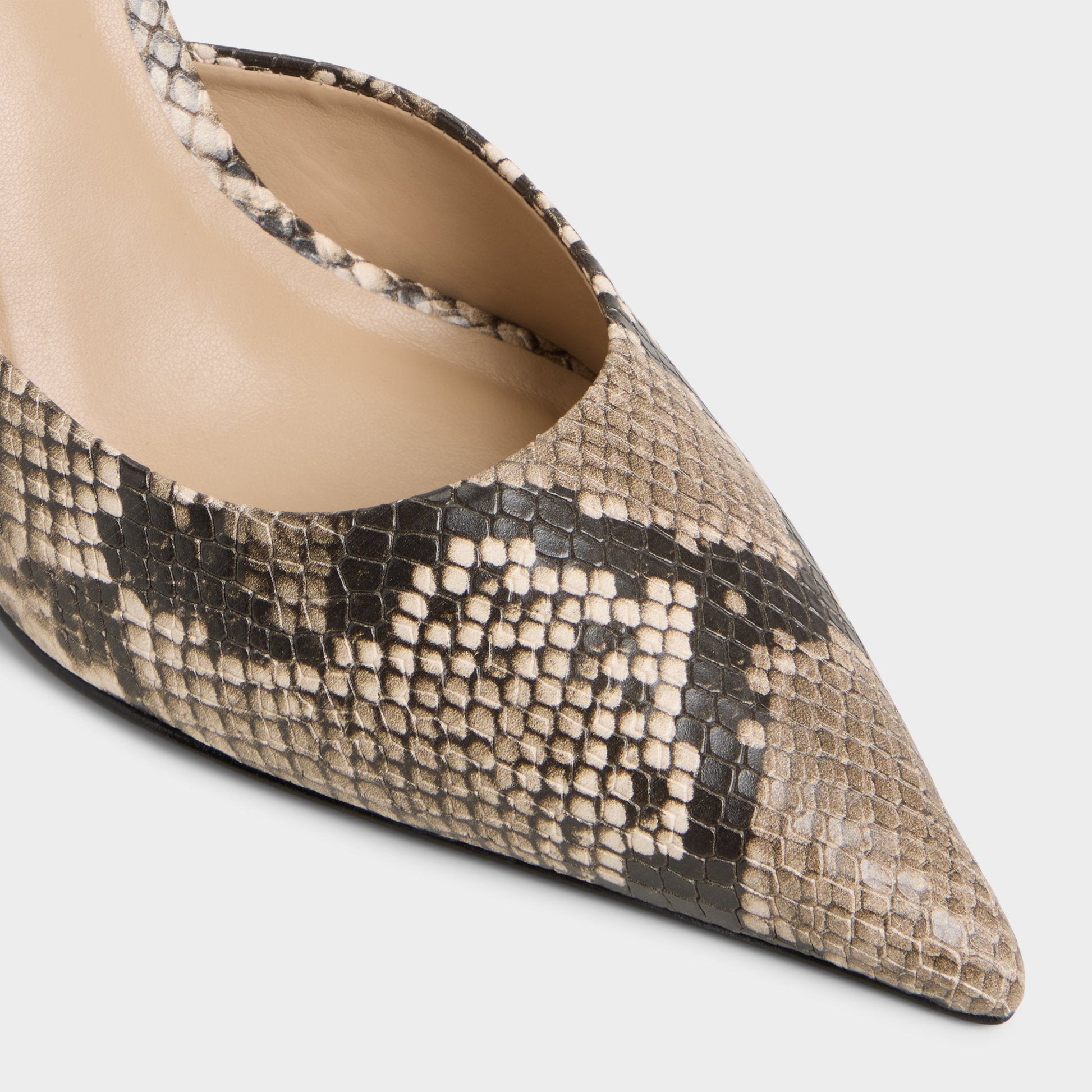 Beatrixy Python Women's Heeled mules - Heeled mule, Stiletto heel - Python