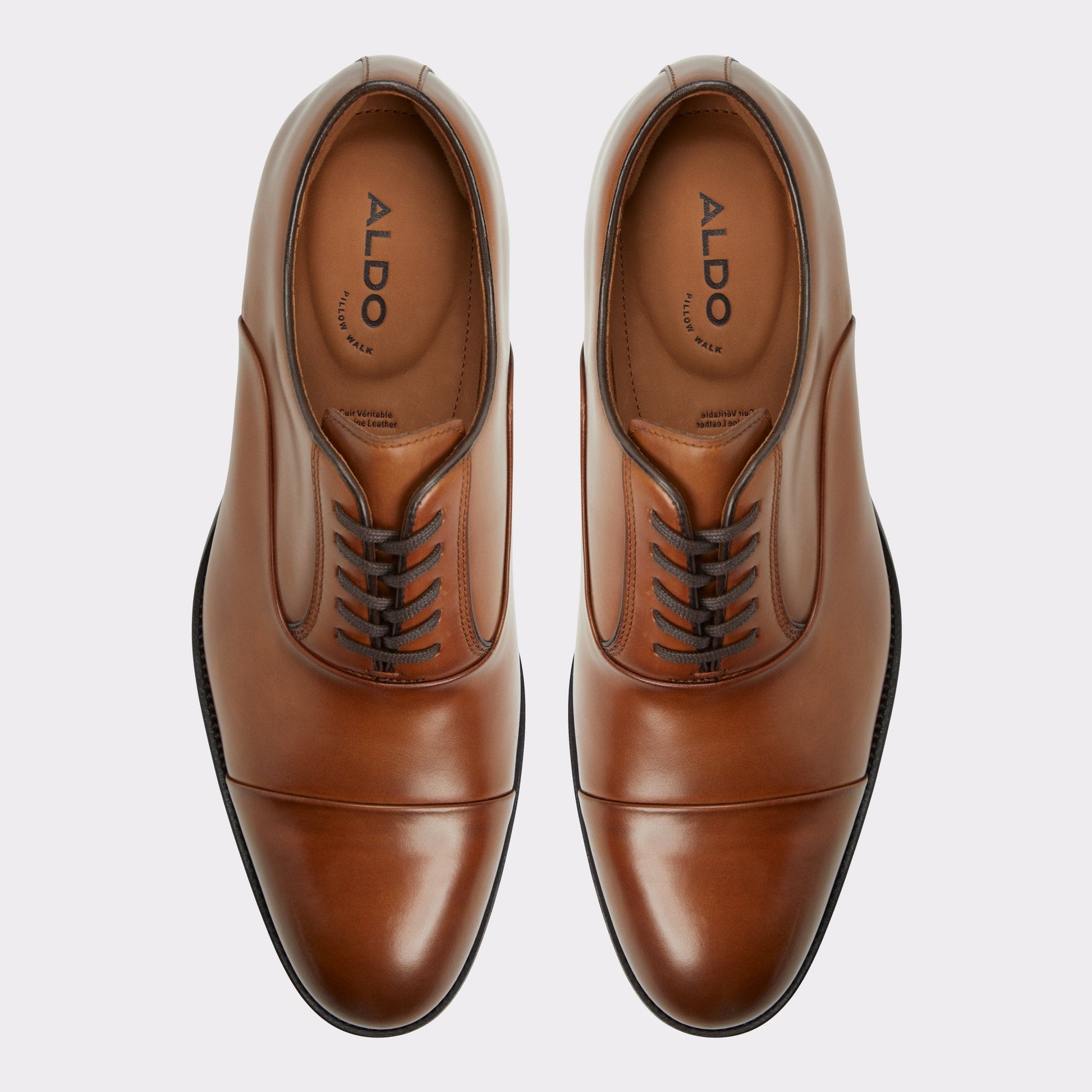Lazio in Cognac - Oxford shoe - Cognac