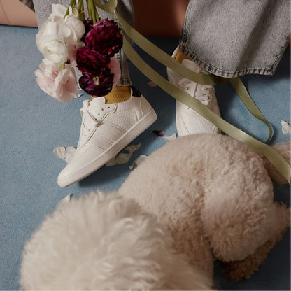 Uptownn in White Combo - Low top sneaker - White combo